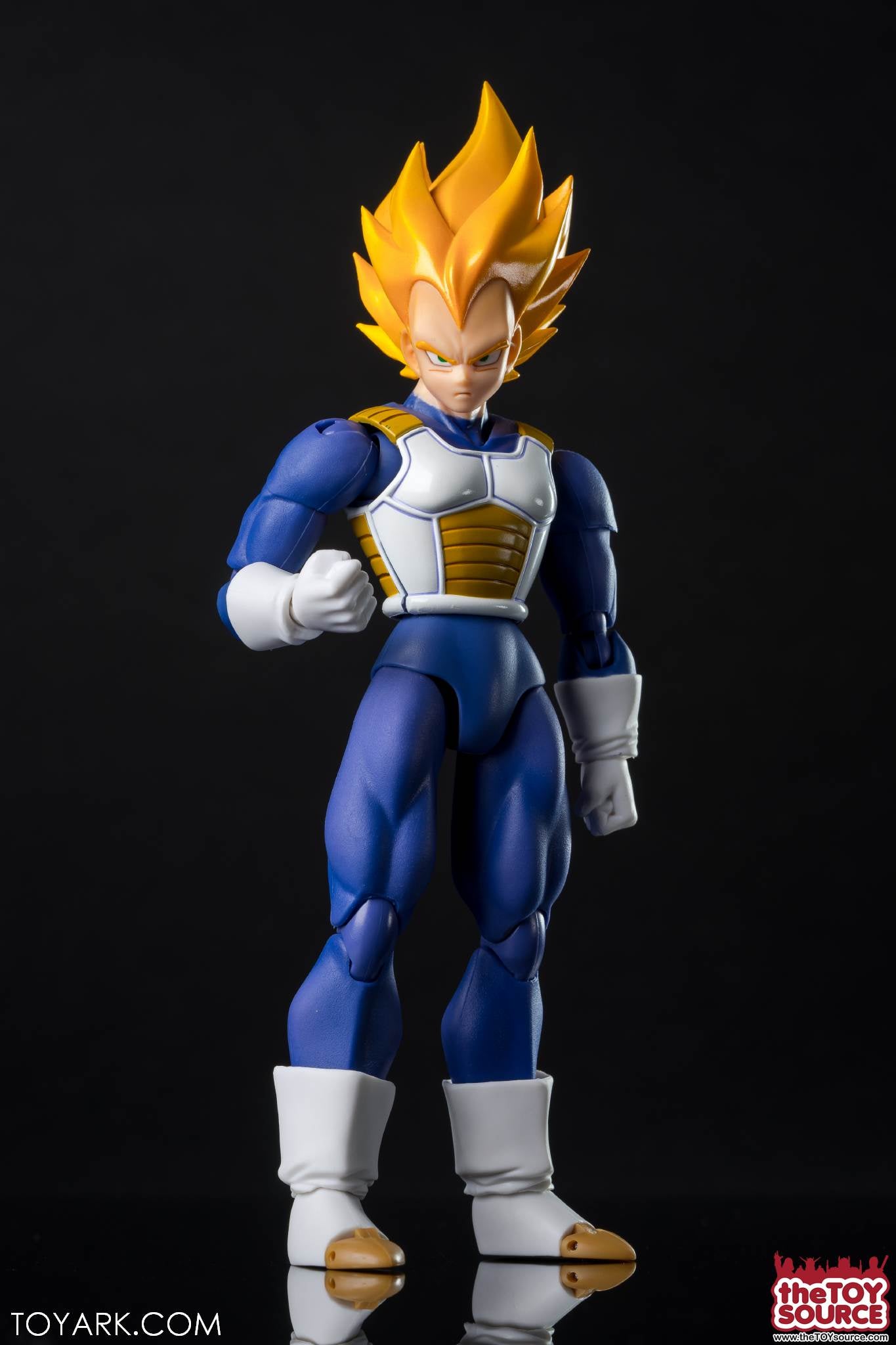 Sh Figuart Vegeta Premium Color 1.0