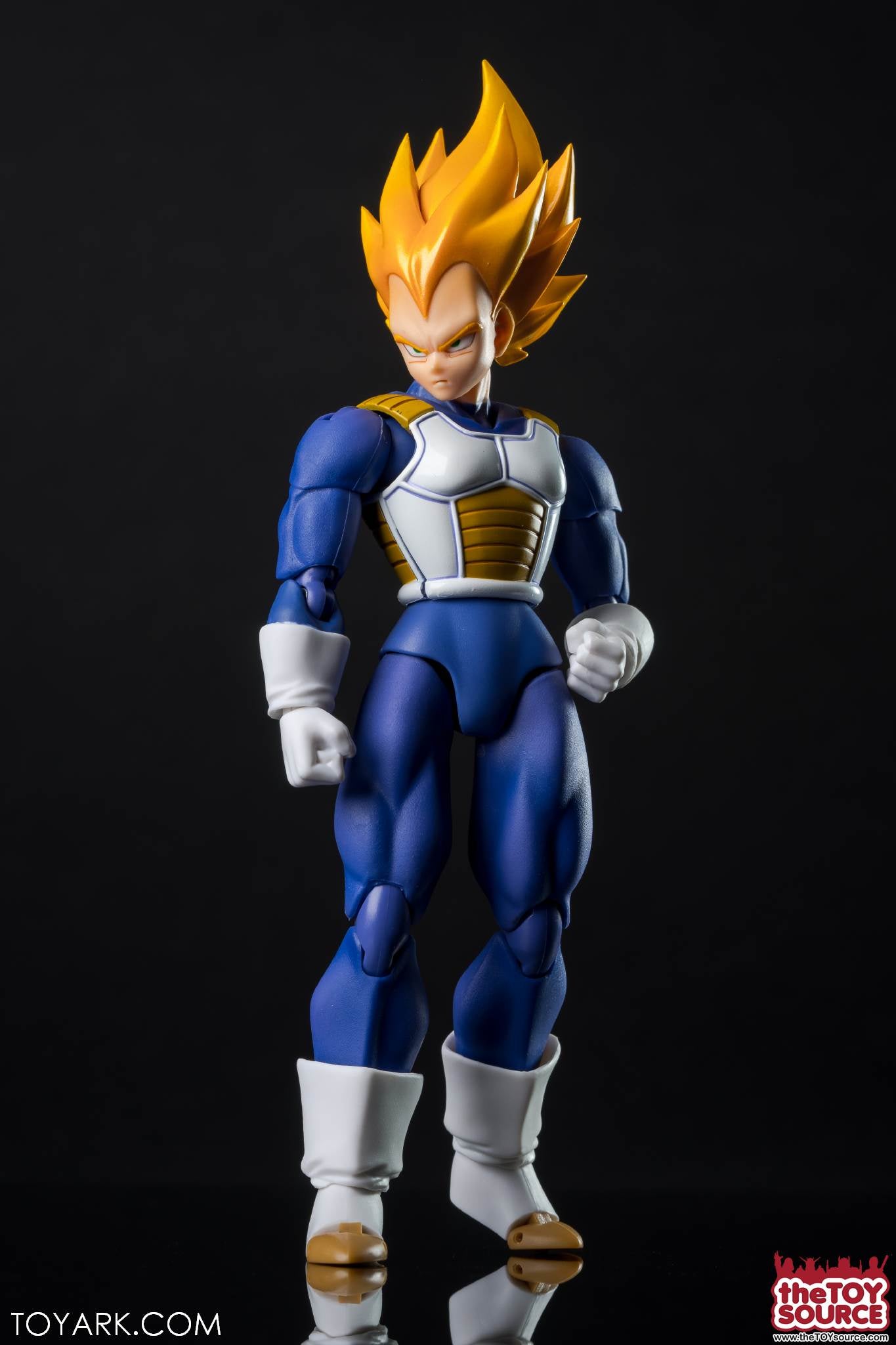 Sh Figuart Vegeta Premium Color 1.0