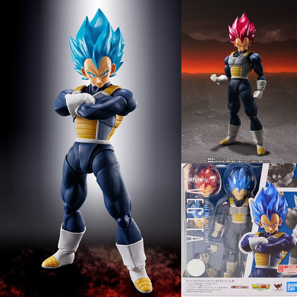 Sh Figuarts Vegeta SSGSS Sealed